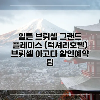 힐튼 브뤼셀 그랜드 플레이스 (럭셔리호텔) 브뤼셀 아고다 할인예약 팁
