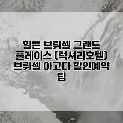 힐튼 브뤼셀 그랜드 플레이스 (럭셔리호텔) 브뤼셀 아고다 할인예약 팁