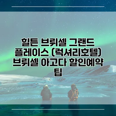 힐튼 브뤼셀 그랜드 플레이스 (럭셔리호텔) 브뤼셀 아고다 할인예약 팁