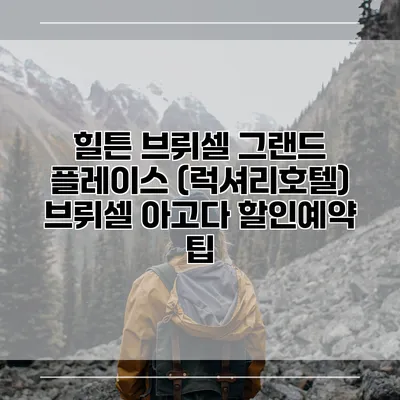 힐튼 브뤼셀 그랜드 플레이스 (럭셔리호텔) 브뤼셀 아고다 할인예약 팁