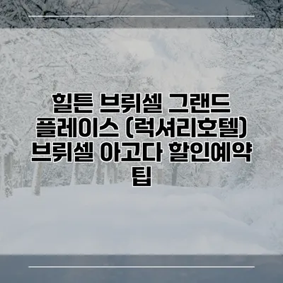 힐튼 브뤼셀 그랜드 플레이스 (럭셔리호텔) 브뤼셀 아고다 할인예약 팁