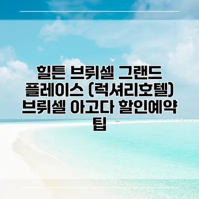 힐튼 브뤼셀 그랜드 플레이스 (럭셔리호텔) 브뤼셀 아고다 할인예약 팁