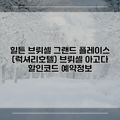 힐튼 브뤼셀 그랜드 플레이스 (럭셔리호텔) 브뤼셀 아고다 할인코드 예약정보