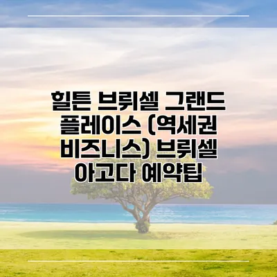 힐튼 브뤼셀 그랜드 플레이스 (역세권 비즈니스) 브뤼셀 아고다 예약팁