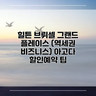 힐튼 브뤼셀 그랜드 플레이스 (역세권 비즈니스) 아고다 할인예약 팁